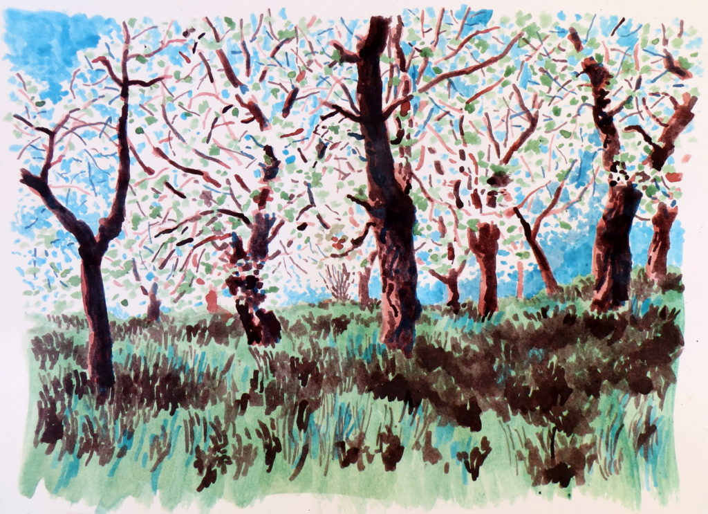 Rozkvetlé stromy,Zbraslav,barevné tuše,25.4.,31x45